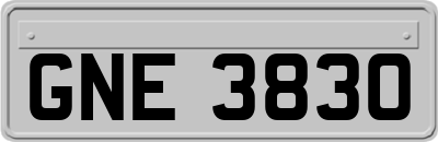 GNE3830