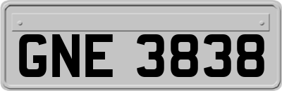 GNE3838