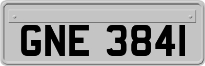 GNE3841