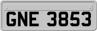 GNE3853