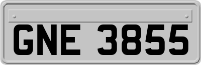 GNE3855
