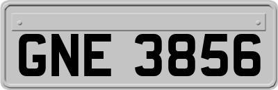 GNE3856
