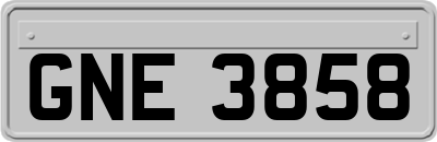 GNE3858