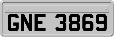 GNE3869