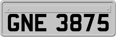 GNE3875