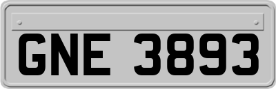 GNE3893