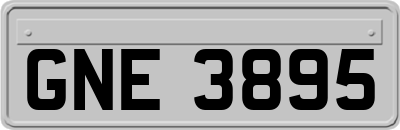 GNE3895
