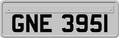 GNE3951