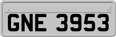 GNE3953