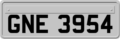 GNE3954
