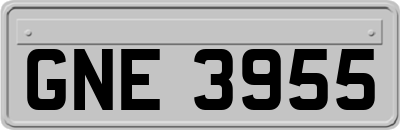 GNE3955