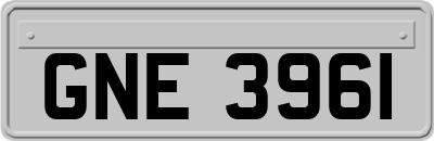 GNE3961