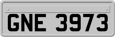 GNE3973