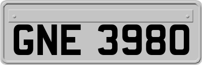 GNE3980
