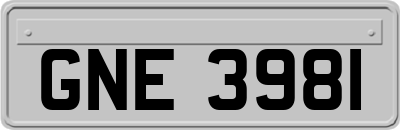 GNE3981
