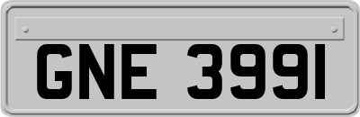 GNE3991