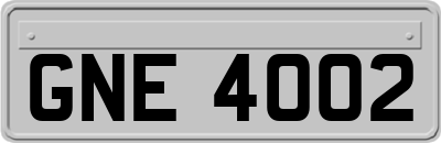 GNE4002