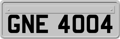 GNE4004