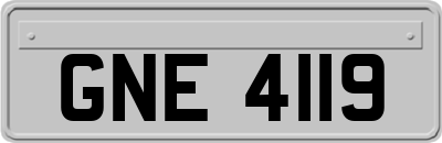 GNE4119