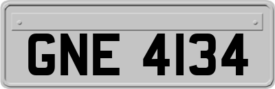 GNE4134