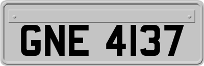 GNE4137