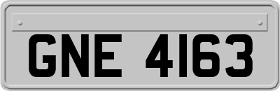 GNE4163