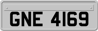 GNE4169