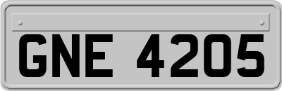 GNE4205