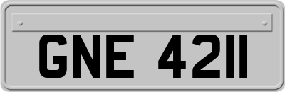 GNE4211