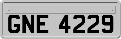 GNE4229