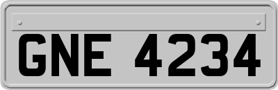 GNE4234