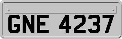 GNE4237