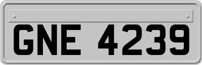 GNE4239