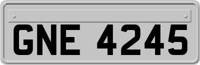 GNE4245
