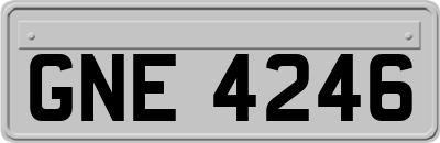 GNE4246