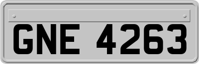 GNE4263