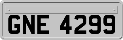 GNE4299