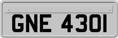 GNE4301