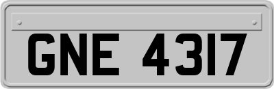GNE4317