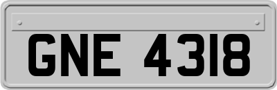 GNE4318