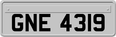 GNE4319