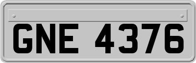 GNE4376