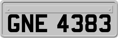 GNE4383