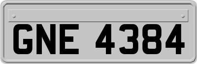 GNE4384