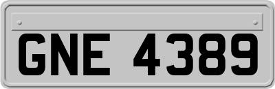 GNE4389