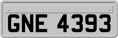 GNE4393