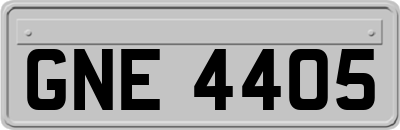 GNE4405