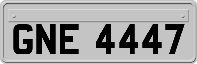 GNE4447