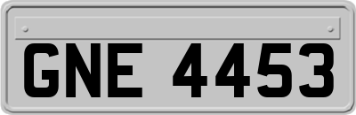 GNE4453