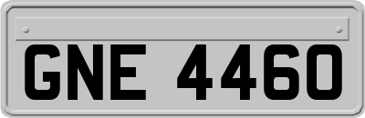 GNE4460